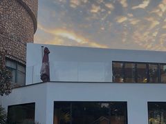 -J Create城市露营咖啡·简餐·宠物(上海动物园店)