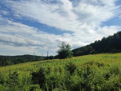 -帽儿山国家森林公园