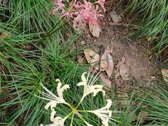 -白塘生态植物园