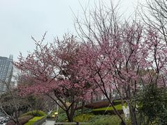 -南京路步行街