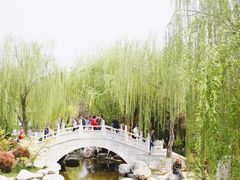 -西安青龙寺遗址景区