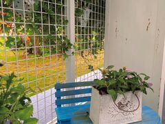 -深圳仙湖植物园