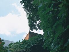 -南越王博物院(王宫展区)