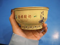 -德禄酸奶(莫家街店)