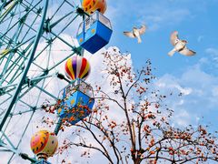 -南京银杏湖乐园