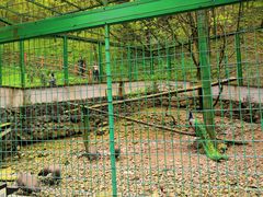 -藏龙百瀑风景区