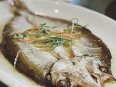 抱盐白鱼-石湖大酒店(桐泾店)