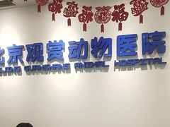 -北京观赏动物医院·24小时大型综合·猫专科·异宠专科
