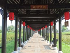 -陶辛水韵