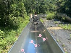 -富斯特索道