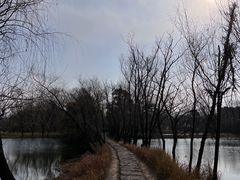 -西溪国家湿地公园