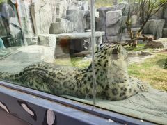 -青藏高原野生动物园