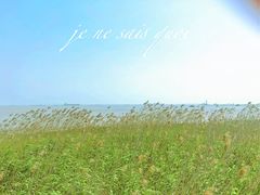-上海吴淞炮台湾国家湿地公园