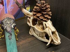 -雪灵魔法世界SHELLY’S TAROT(大良桂畔里店)