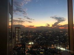 -东京都厅舍