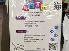 -猫冇咖·家门口的撸猫馆(大融城店)