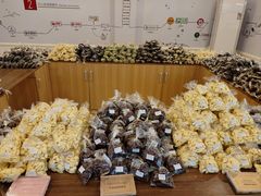 -歌斐颂巧克力小镇