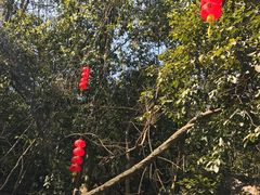 -杭州西湖风景名胜区-三生石