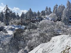 -老字号怡玺·藿香雅鱼(20年雅安店)