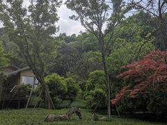 -杭州开元森泊度假乐园