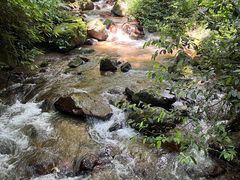 -莫里热带雨林景区