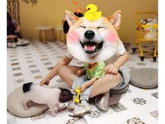 -RU DUCK柯尔鸭公社·撸鸭俱乐部·羊驼·小香猪