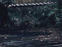 -燕晗山郊野公园