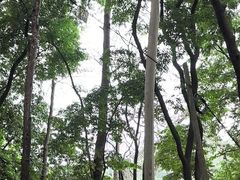 -白云山风景名胜区
