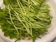 -常赢三兄弟·清真涮肉(五莲路店)