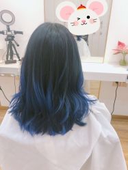 -YESIDO椰岛造型