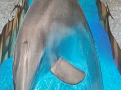 -火锅党-艺文店潜水风涮涮锅