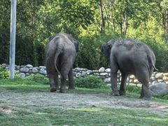 -北京野生动物园