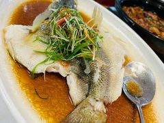 -怀德酒楼·粤菜·海鲜·茶点(宝安国际机场店)