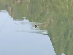 -野三坡清泉山风景区