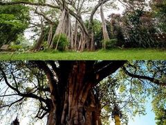 -一寨两国风景区