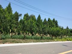 -仙海旅游度假区