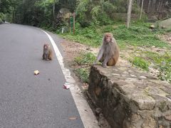 -姑婆山旅游区