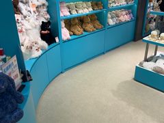 -Xcape异时刻密室逃脱魔法互动(瑞虹天地太阳宫店)