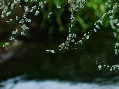 -中国茶叶博物馆(双峰馆区)
