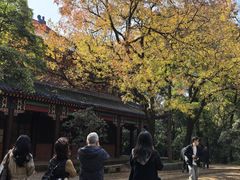 -灵谷景区