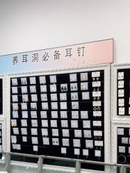 -AI艾耳·专业手工耳洞·穿孔美学馆
