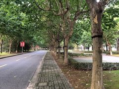 -中国浦东干部学院