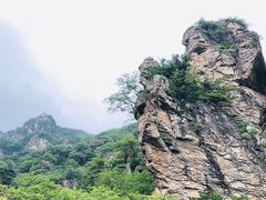 -牛背梁国家森林公园