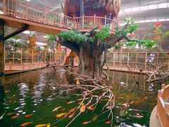 -南宫五洲植物乐园