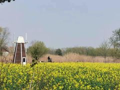 -长兴太湖图影湿地文化园