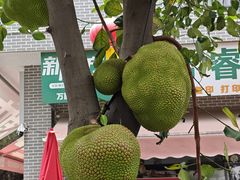 -黄埔古港