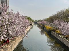 -海棠花溪(元大都城垣遗址公园)