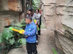 -石家庄市植物园