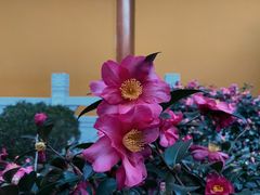 -杭州上天竺法喜讲寺
