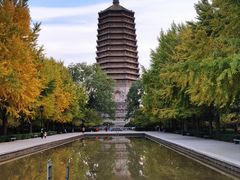 -玲珑塔公园